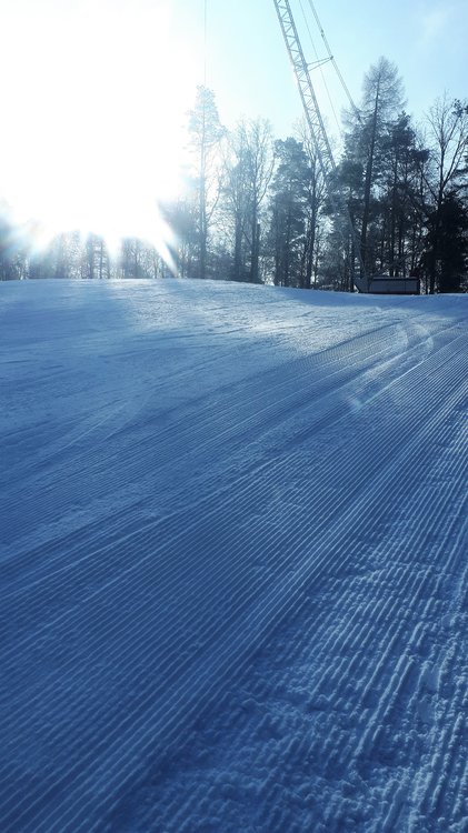 20190201_105314.jpg