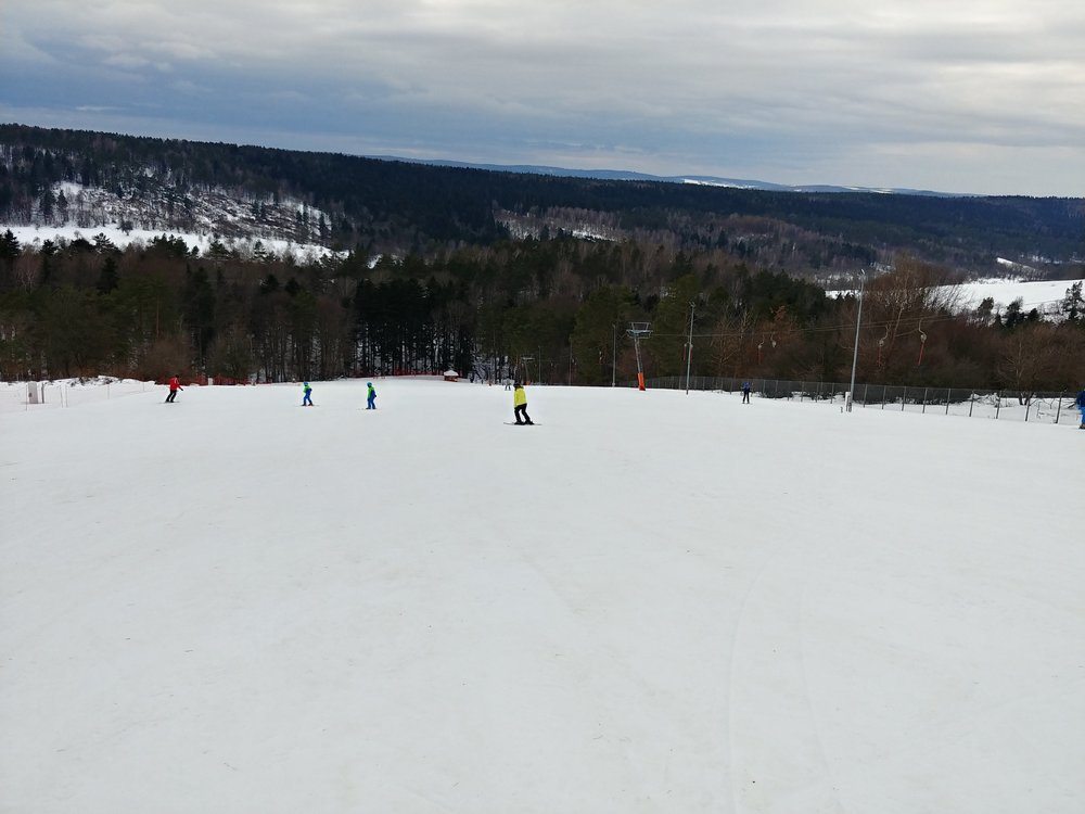 20190202_142022_HDR.thumb.jpg.e31dd5c2b3c67423a5ea950f7b66a9ff.jpg