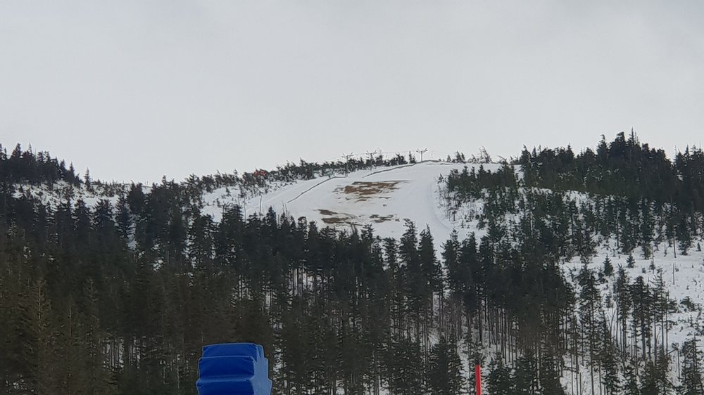 20190202_151128.jpg
