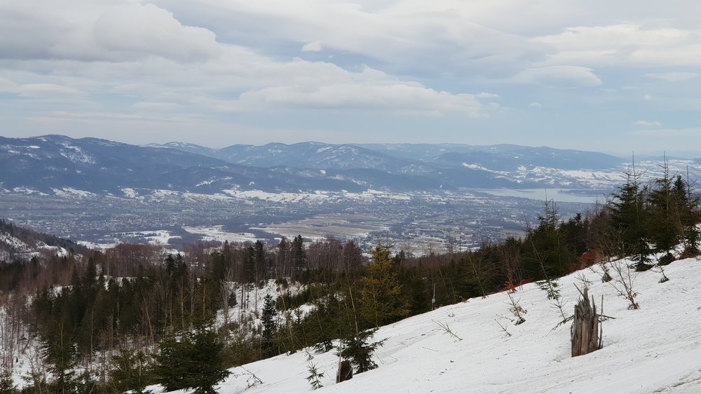 20190202_154213.jpg