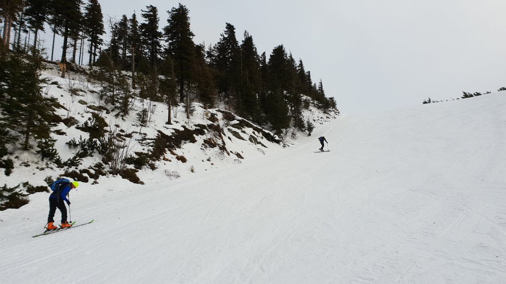 20190202_160314.jpg