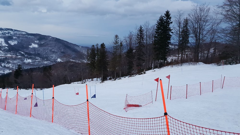 20190202_164533.jpg