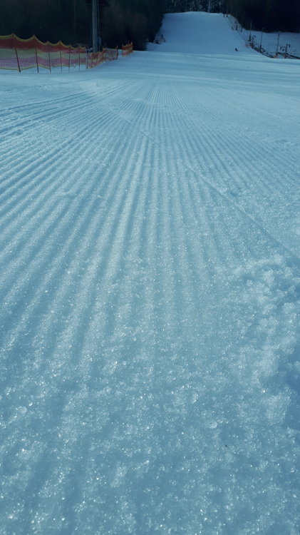 20190203_094913.jpg