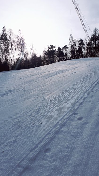 20190203_110306.jpg