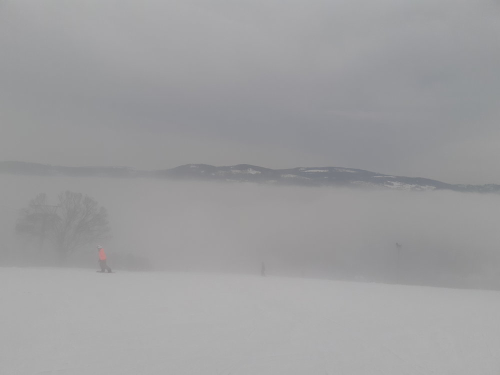 20190203_114816.jpg
