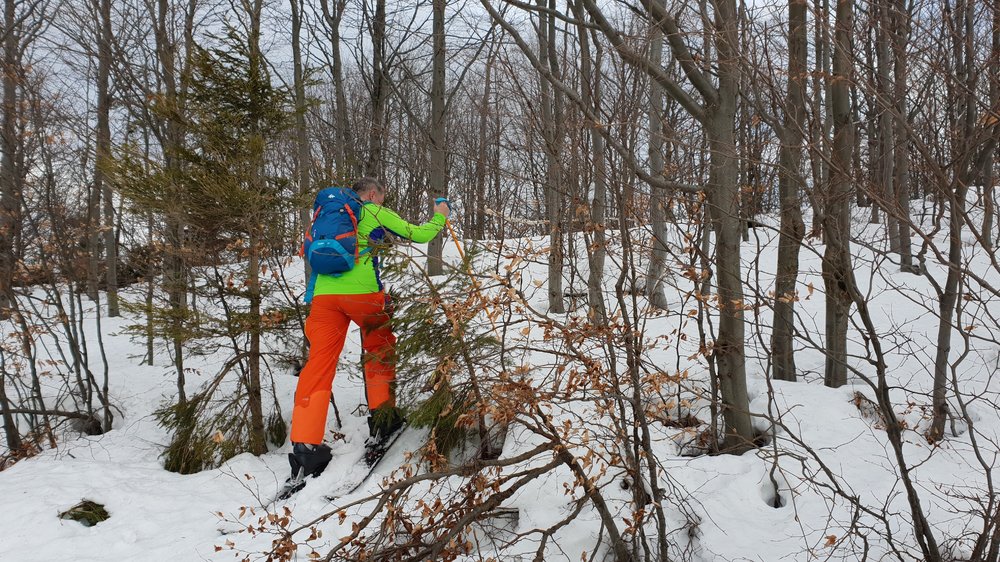 20190203_124143.jpg