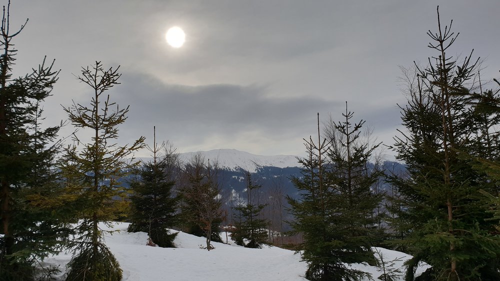 20190203_125139.jpg