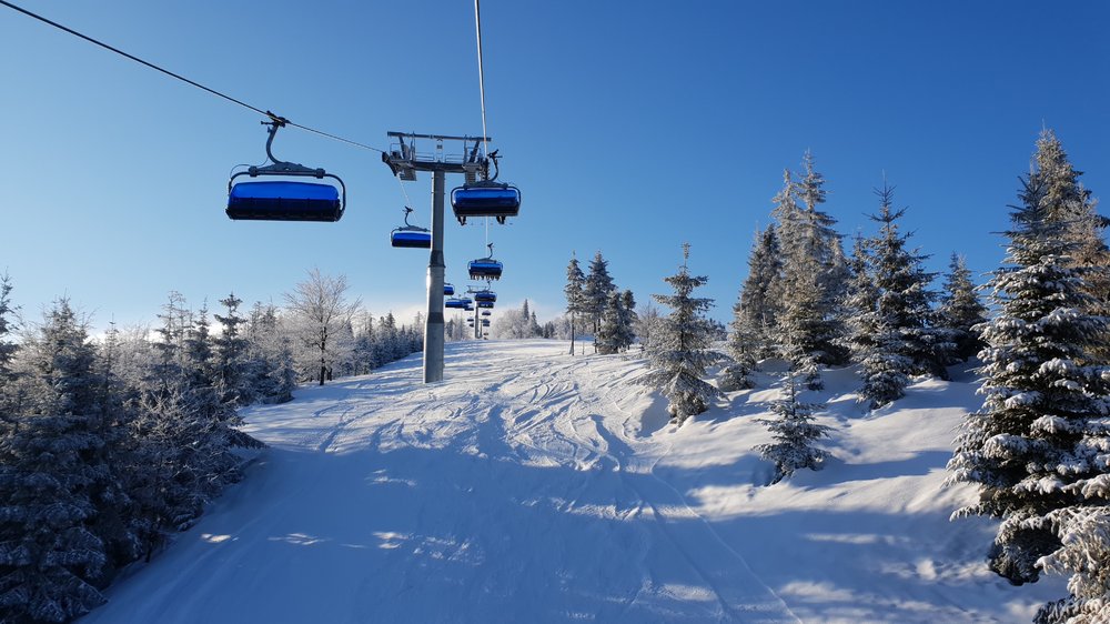 20190205_083445.jpg