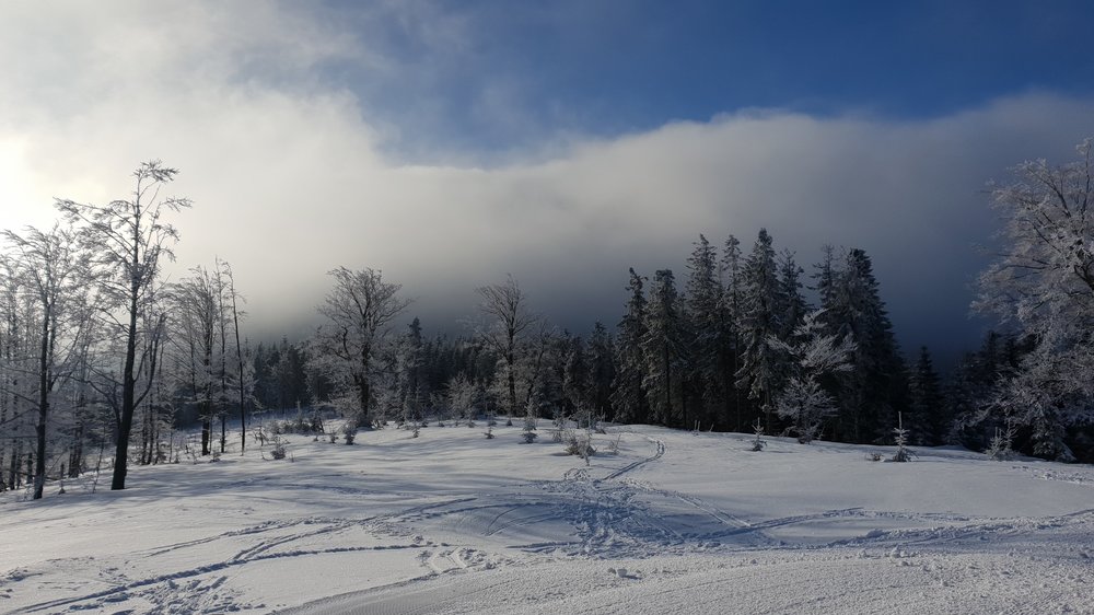 20190205_091429.jpg