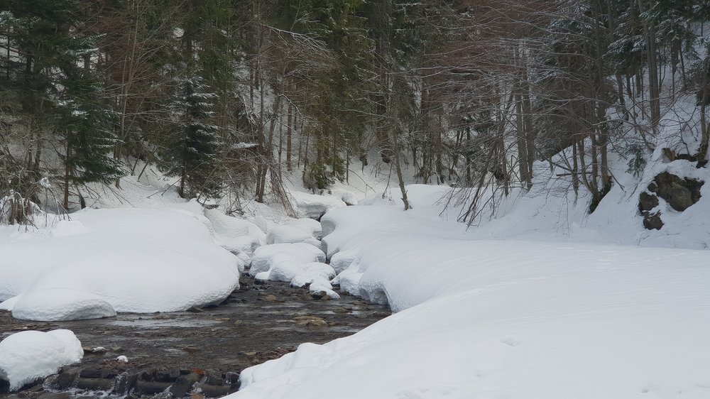 20190206_103420.jpg