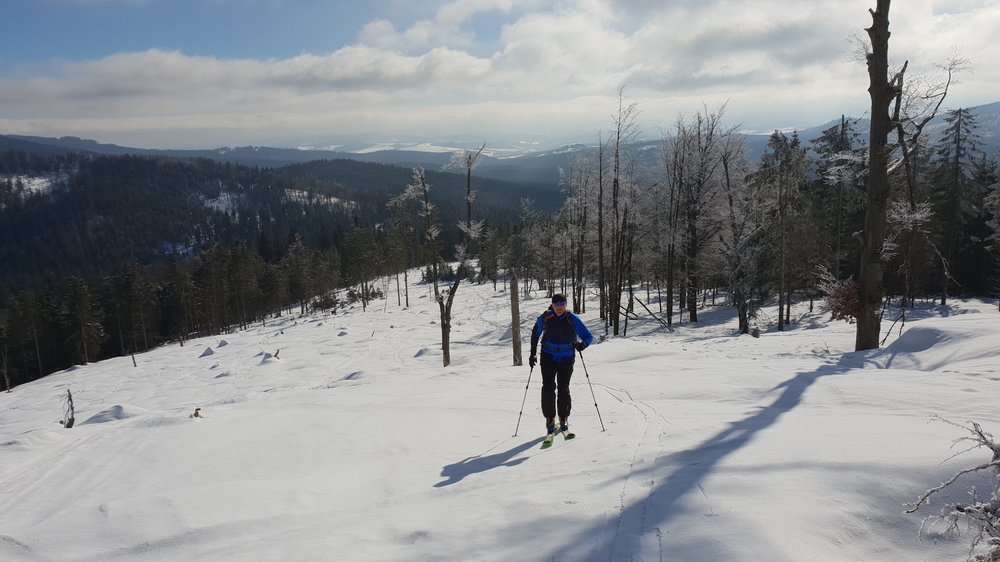 20190206_114711.jpg