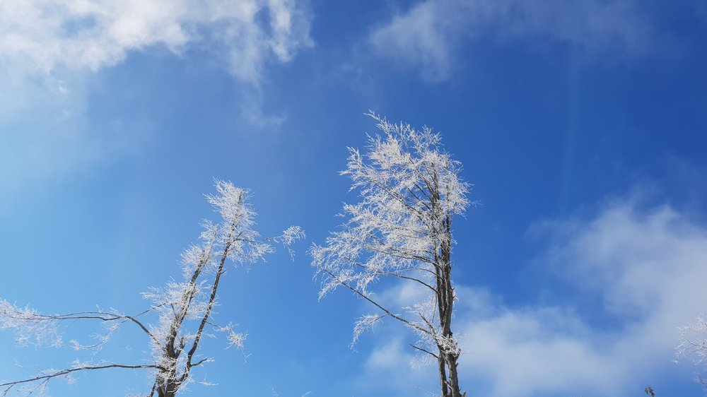20190206_114738.jpg