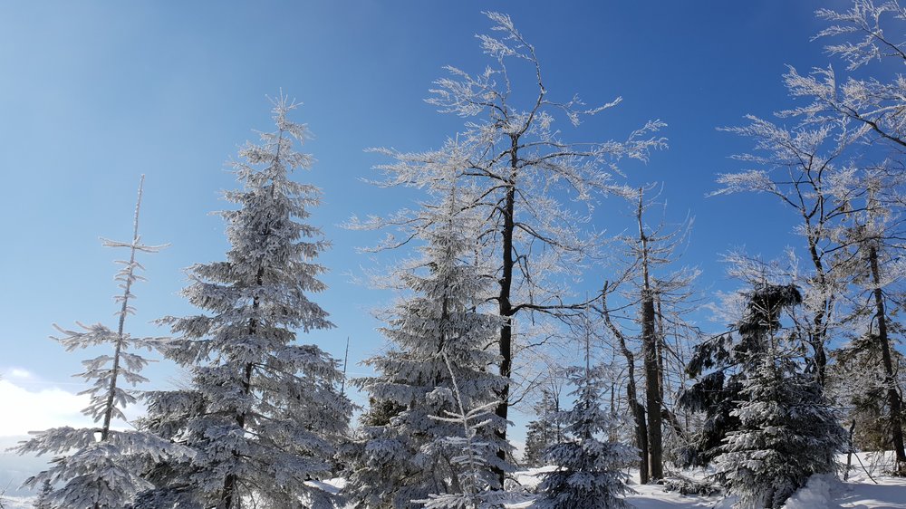 20190206_115830.jpg