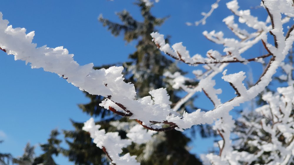 20190206_120012.jpg