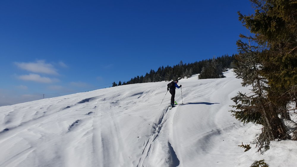20190206_121632.jpg