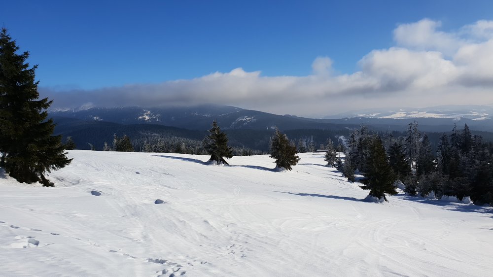 20190206_130428.jpg