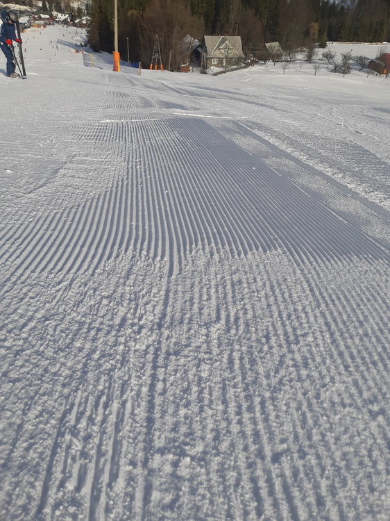 20190206_131013.jpg