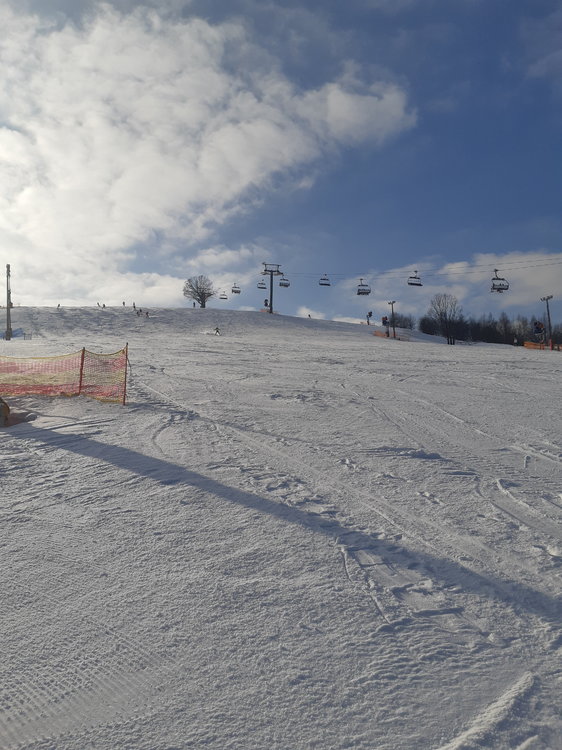 20190206_131019.jpg