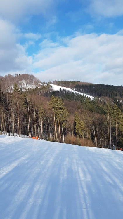 20190206_133404.jpg