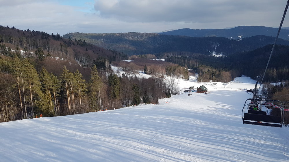 20190206_133410.jpg