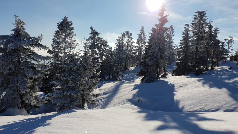20190206_142326.jpg