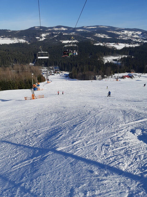 20190207_113952.jpg