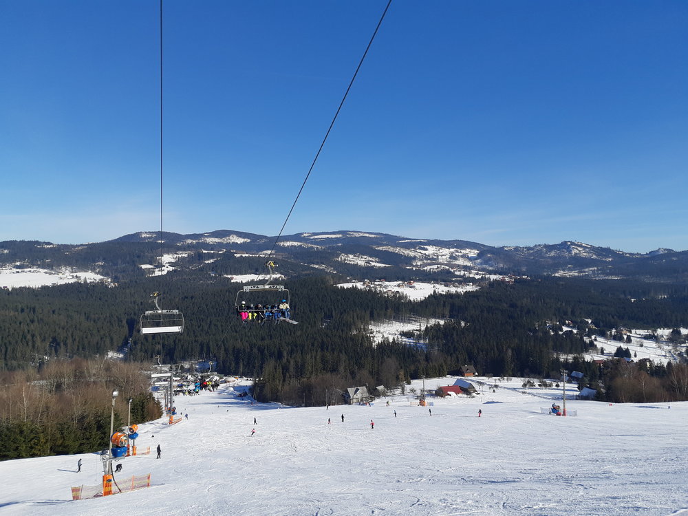 20190207_114013.jpg