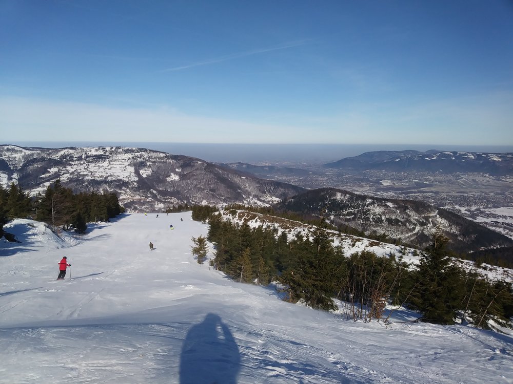 20190207_120508.jpg