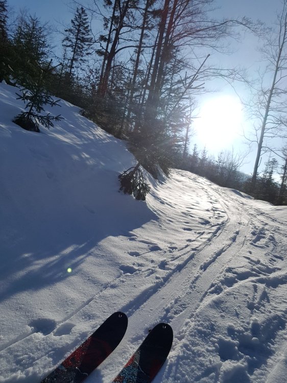 20190210_092327.jpg