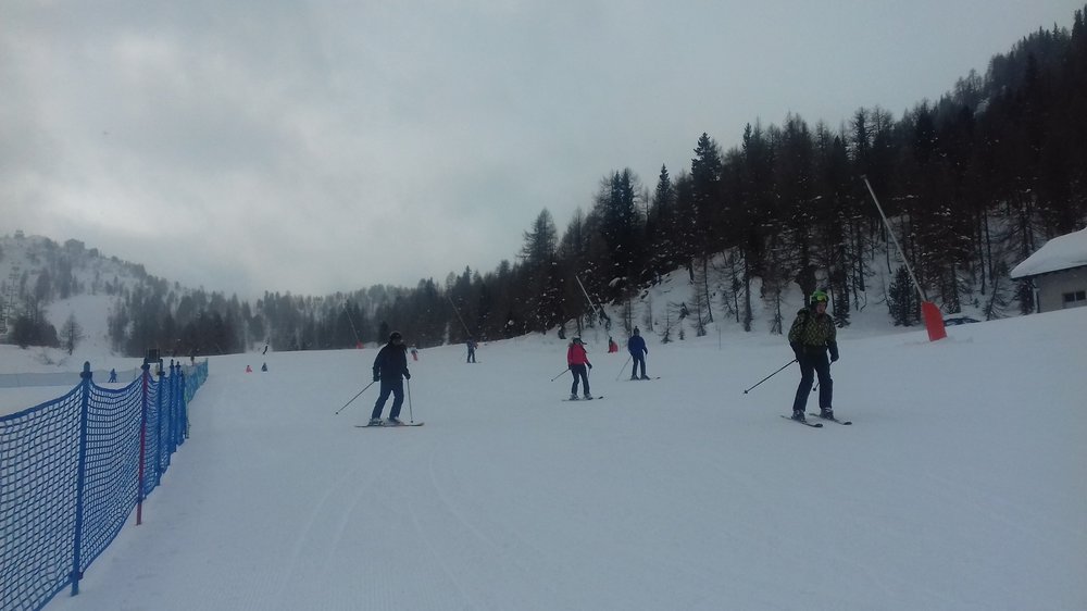 20190210_094410.thumb.jpg.123b0c94e1785d483f7c51dded188456.jpg