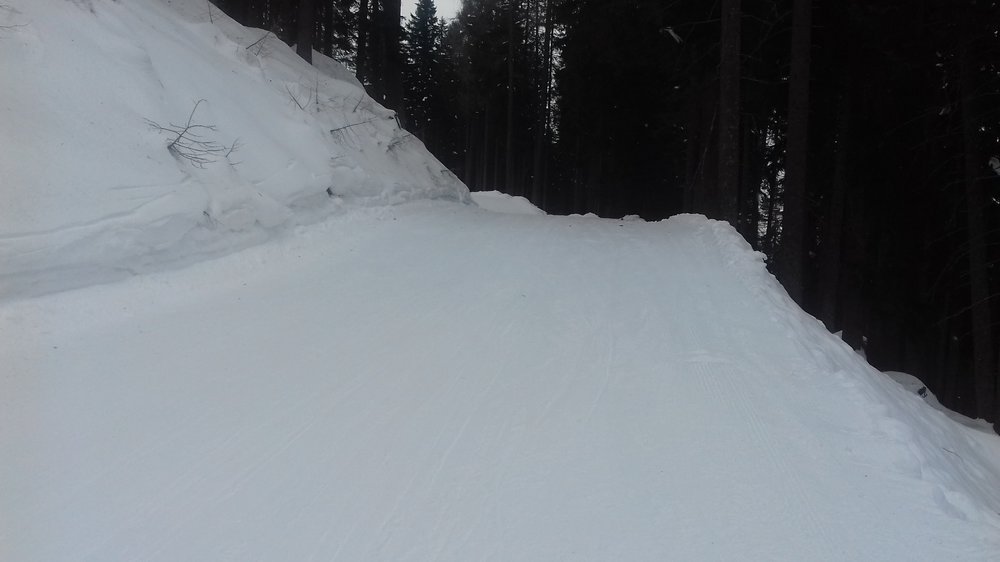 20190210_095004.jpg