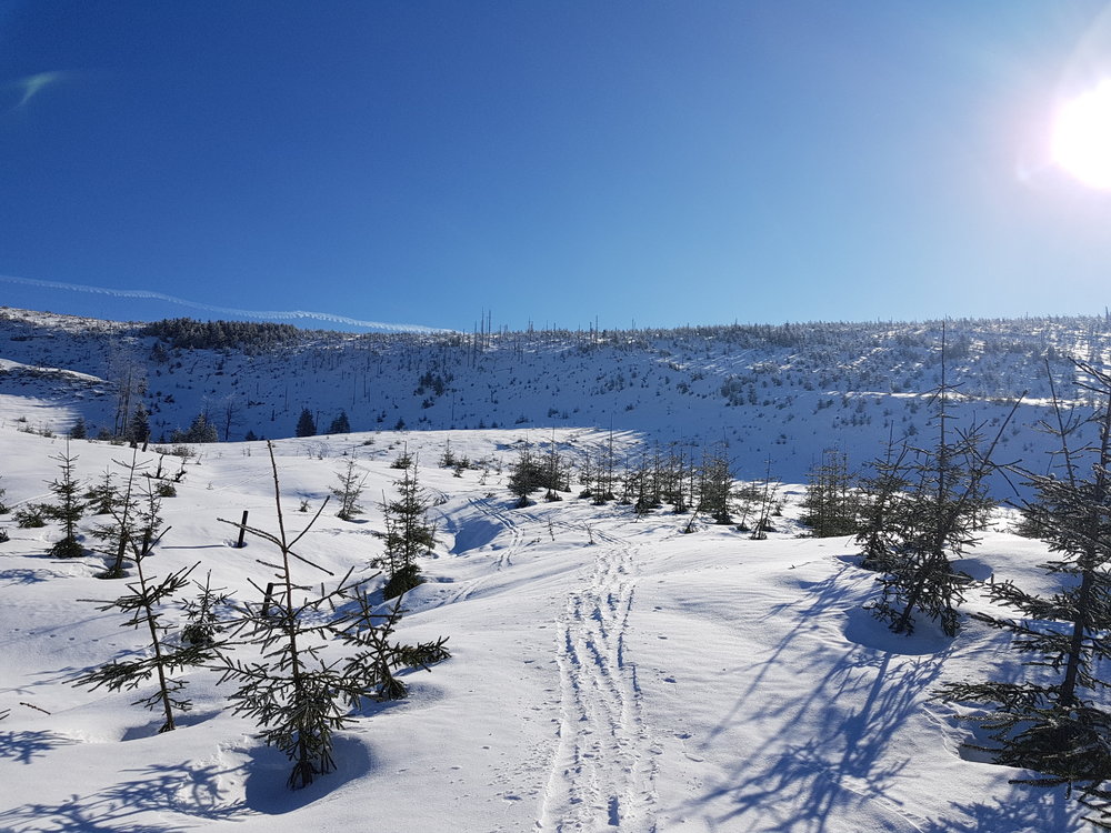 20190210_105142.jpg