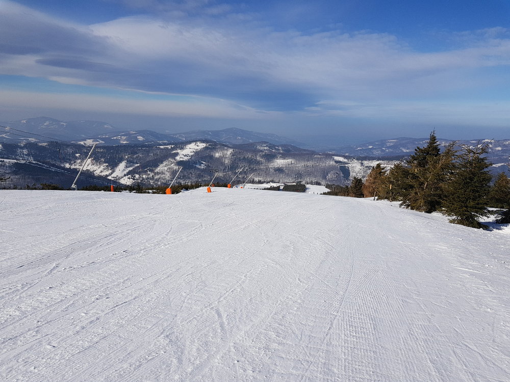 20190210_113317.jpg