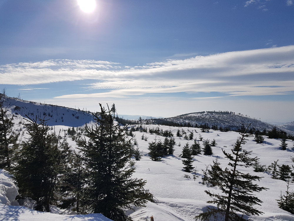 20190210_113624.jpg