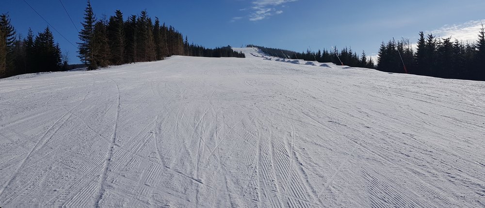 20190210_113854.jpg