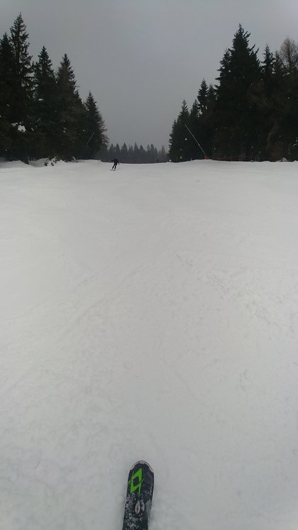 20190210_121146.jpg