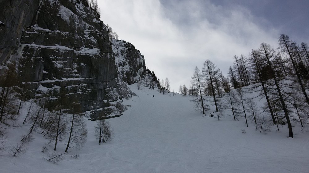 20190210_123137.thumb.jpg.64575306104e59943f1decb72452b694.jpg