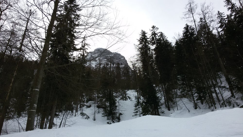 20190210_124727.thumb.jpg.a98e974cdaa7f390f245d065d1a1b9ae.jpg