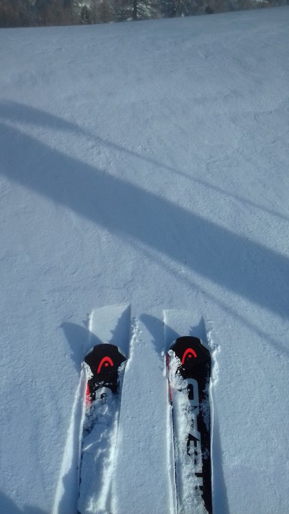 20190211_091149.jpg