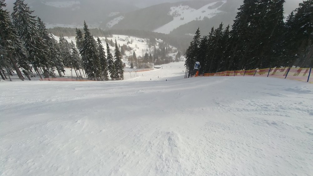20190211_101357.jpg