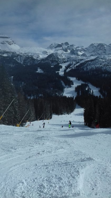 20190211_131354.thumb.jpg.815c5668a13a1a78e69ef92554d58eeb.jpg