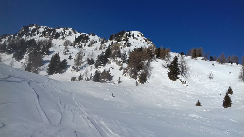 20190212_092427.jpg