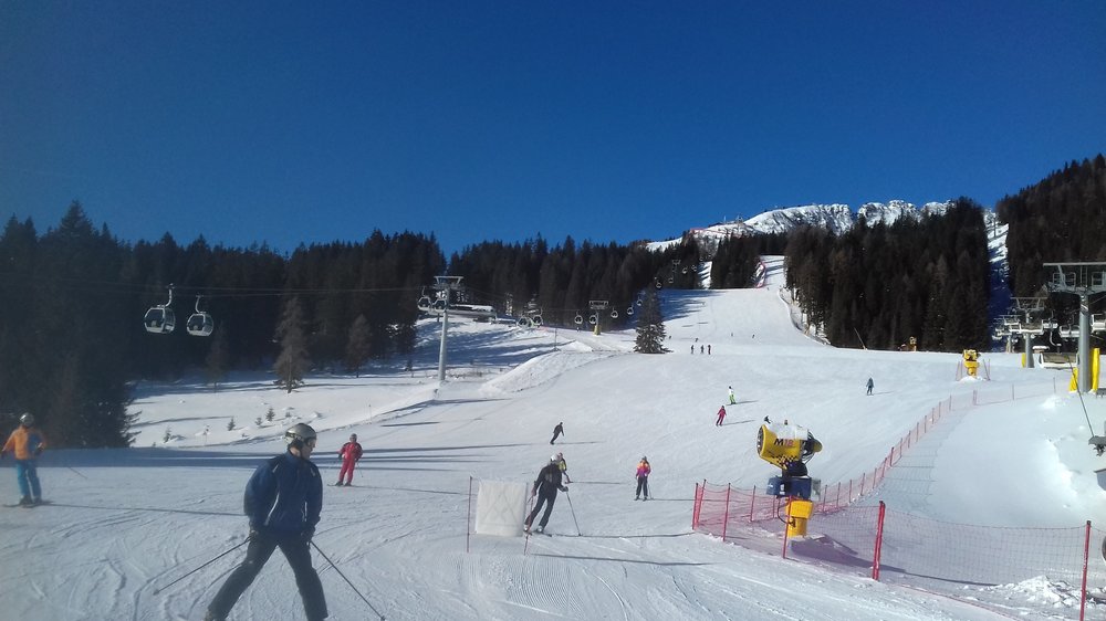 20190212_094359.jpg