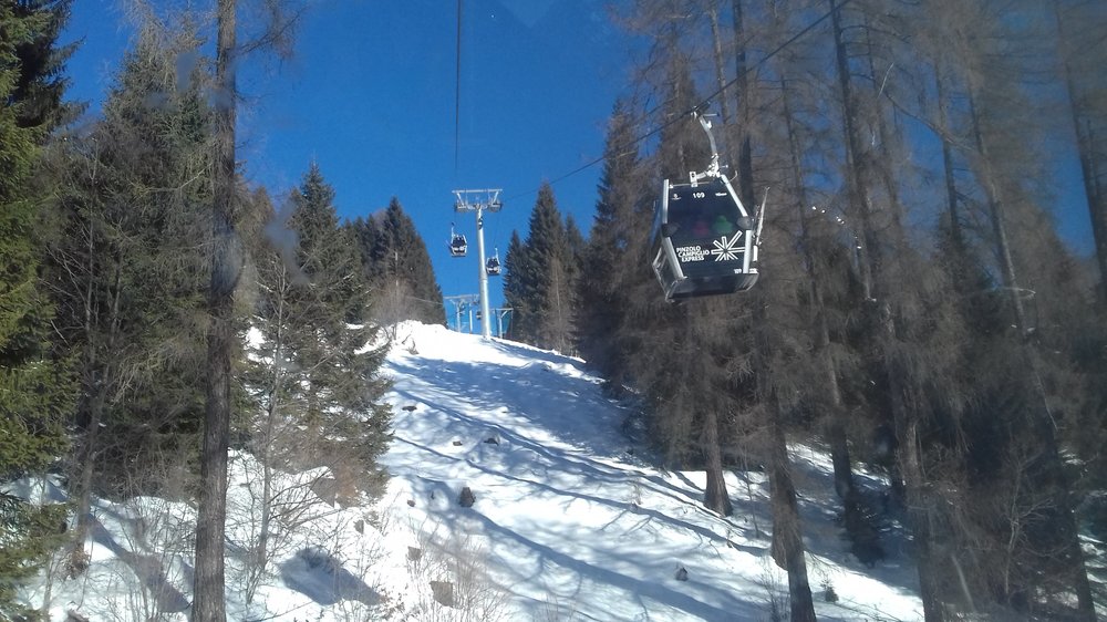 20190212_101451.jpg