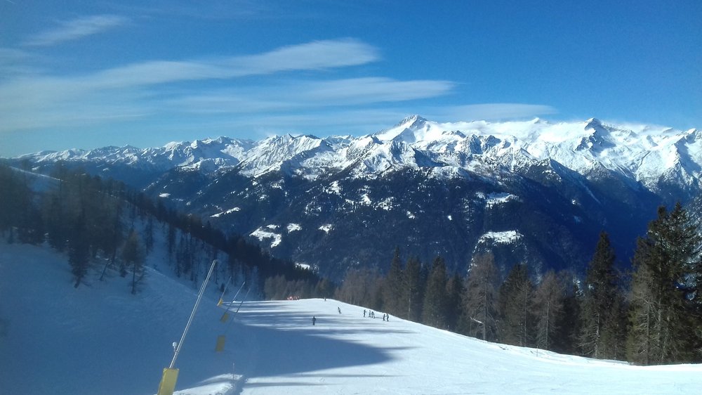 20190212_104156.jpg