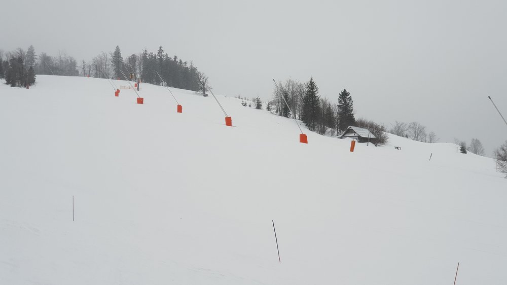 20190213_084554.jpg