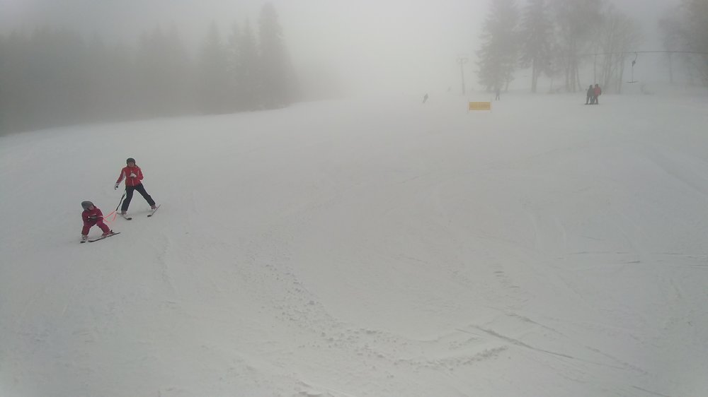 20190213_102119.jpg