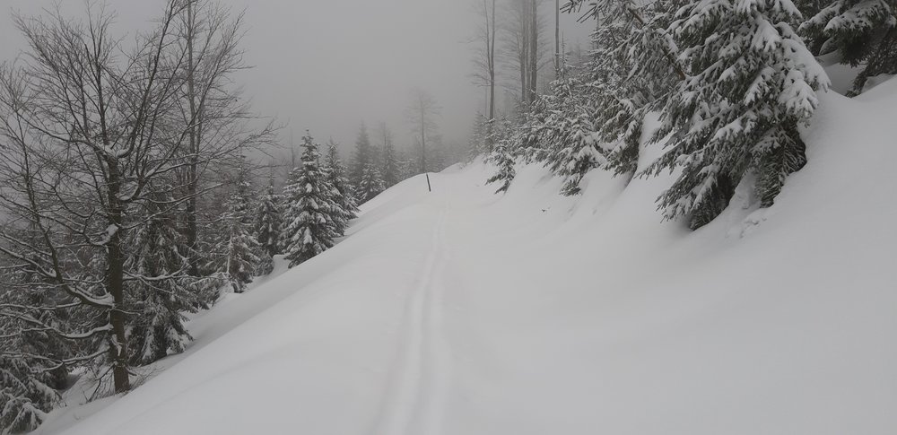 20190213_104708.jpg