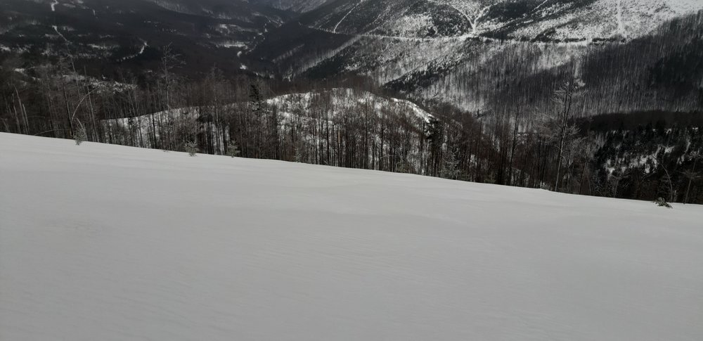 20190213_115038.jpg