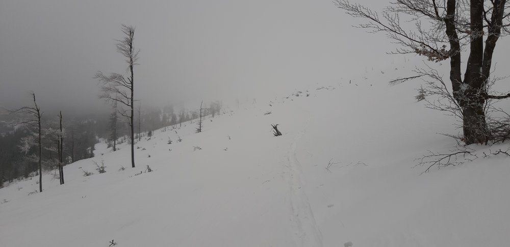 20190213_115040.jpg